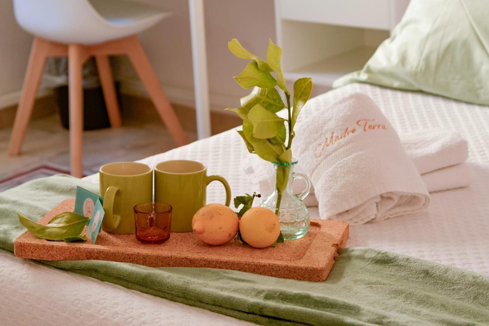 Madre Terra Apartment & Rooms تيراسيني المظهر الخارجي الصورة